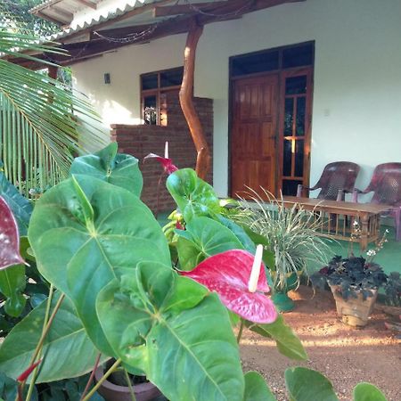 Amaya River Side Homestay Σιγκιρίγια Εξωτερικό φωτογραφία