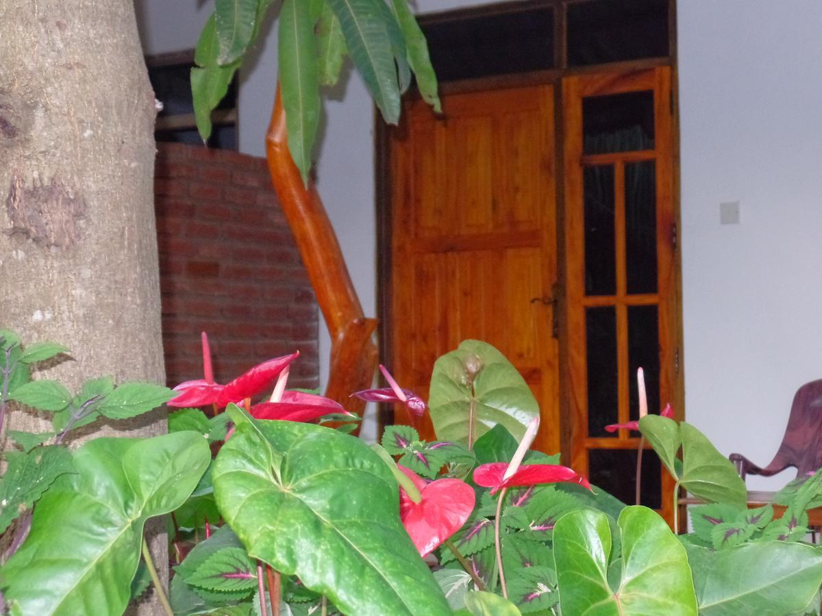 Amaya River Side Homestay Σιγκιρίγια Εξωτερικό φωτογραφία