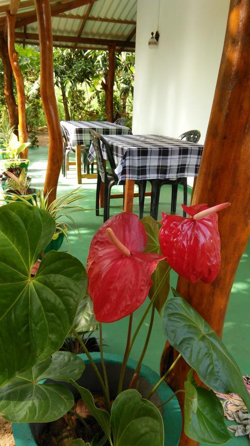 Amaya River Side Homestay Σιγκιρίγια Εξωτερικό φωτογραφία