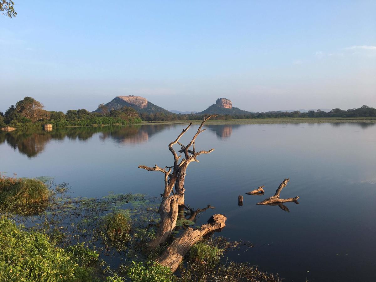 Amaya River Side Homestay Σιγκιρίγια Εξωτερικό φωτογραφία
